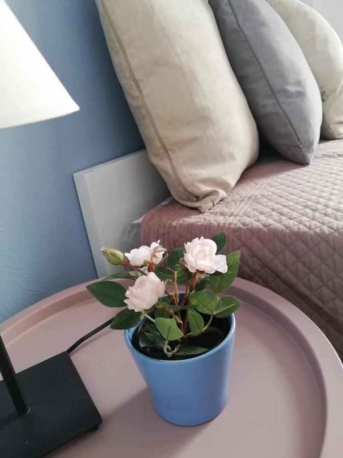 The Rose Apartment Volos Buitenkant foto